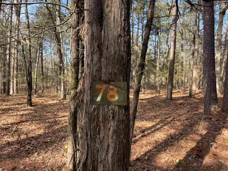 Lot 78 Tannenbaum Rd., Drasco, AR 72530 - Image #3