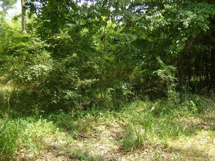 206 & 208 Wedge Road, Horseshoe Bend, AR 72512 - Image #2
