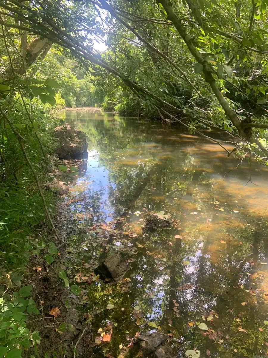 Address Withheld By Seller, Viola, AR 72583 - Image #3