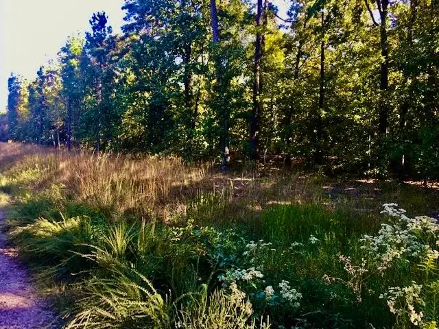 93 W South Ridge Road, Bigelow, AR 72016 - Image #3