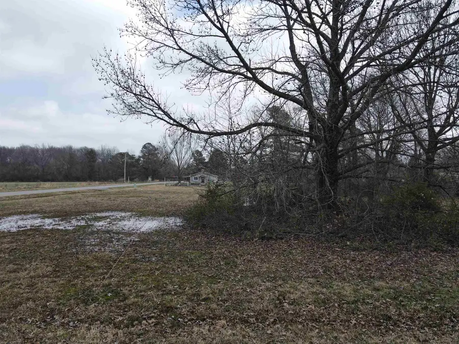 Lot 14 Mckinley Avenue, Carlisle, AR 72024 - Image #2