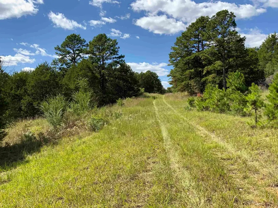 999 N Scenic Drive, Heber Springs, AR 72543 - Image #2