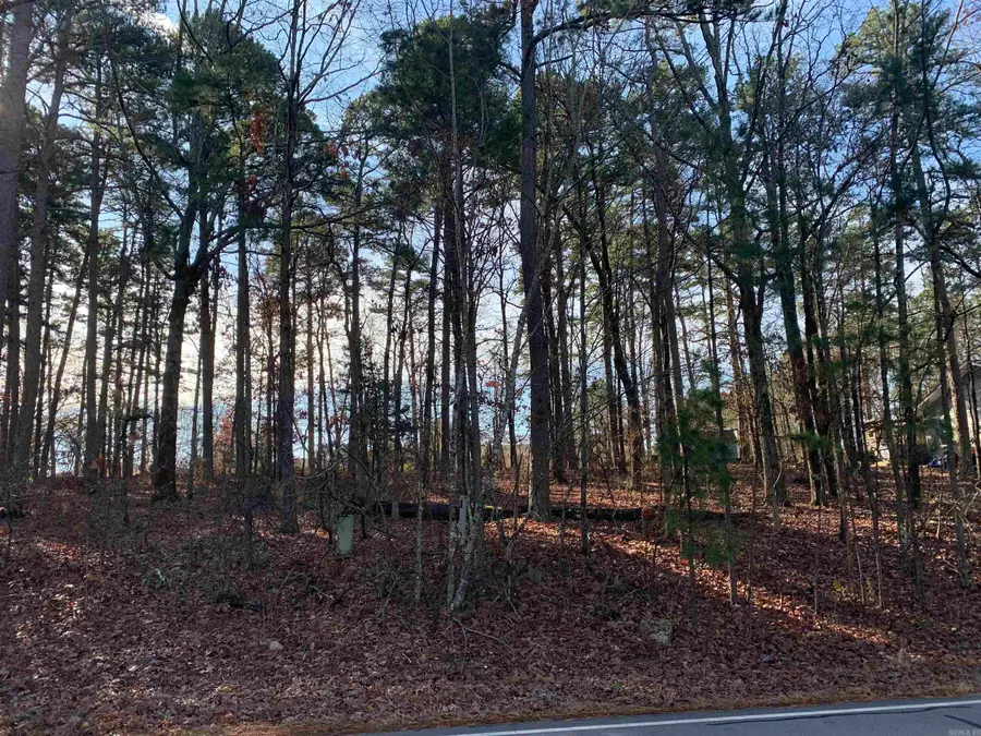 Address Withheld By Seller, Hot Springs Village, AR 71909 - Image #2