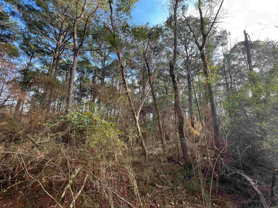 000 W University Street, Magnolia, AR 71753 - Image #3