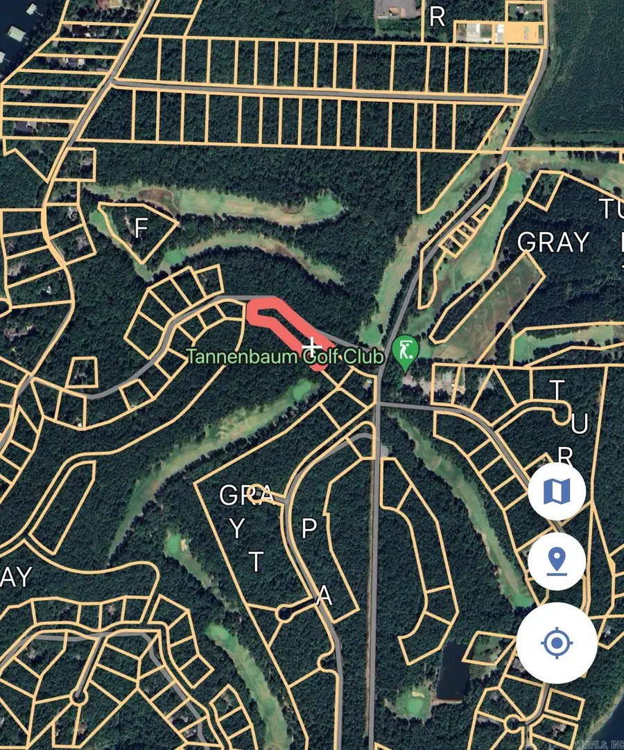 Lot 462 Tannenbaum Rd., Drasco, AR 72530 - Image #3