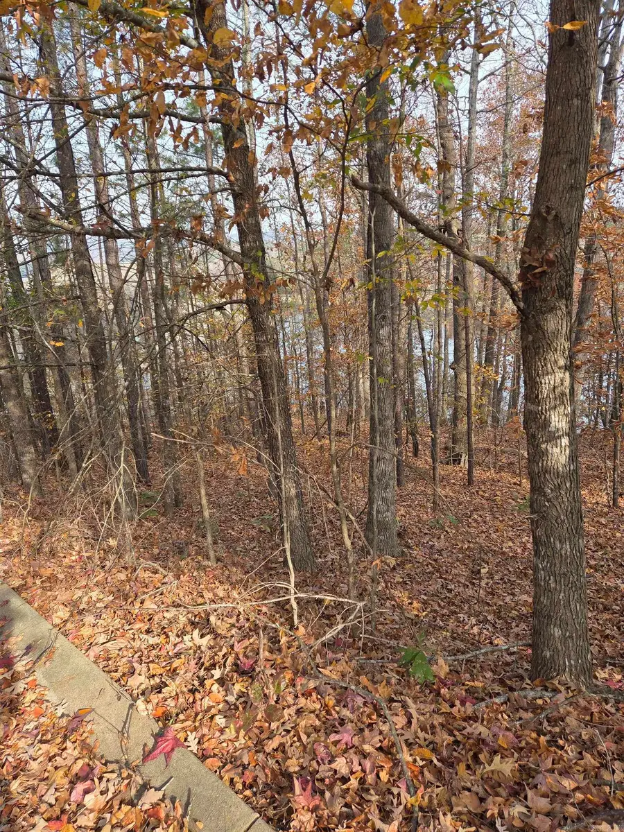 Address Withheld By Seller, Hot Springs, AR 71913 - Image #2