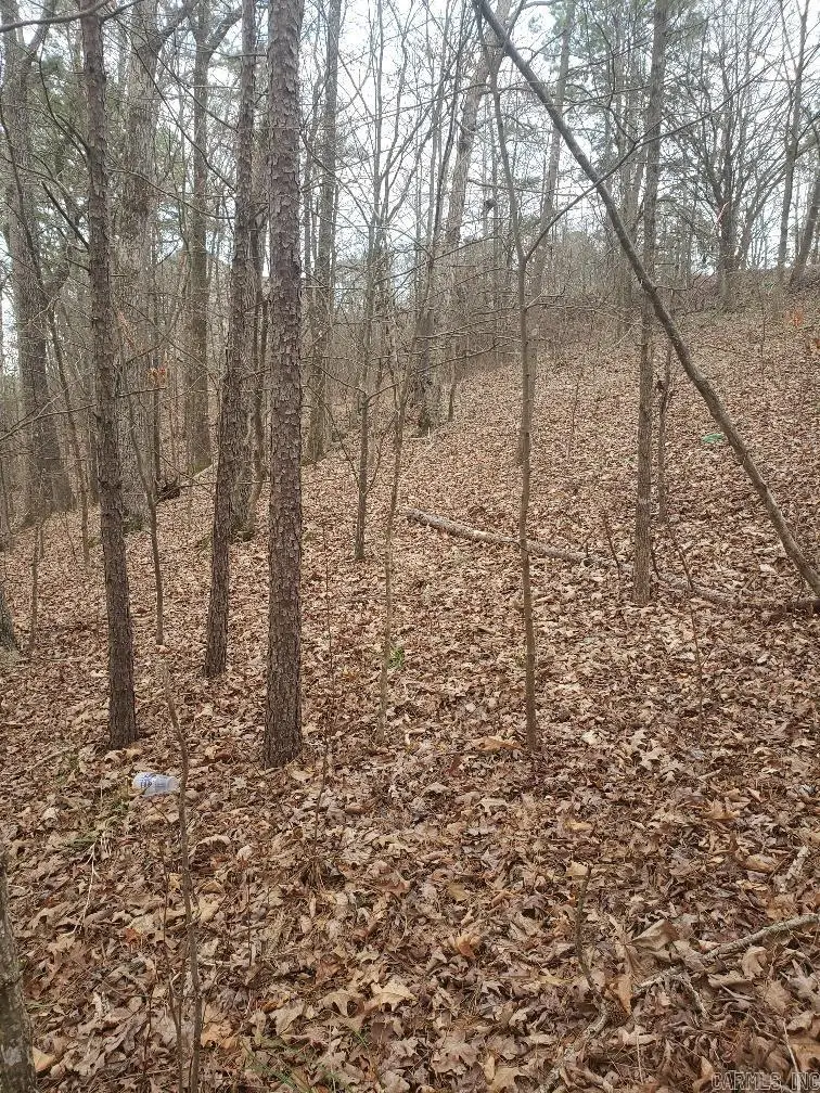 Address Withheld By Seller, Hot Springs, AR 71913 - Image #3