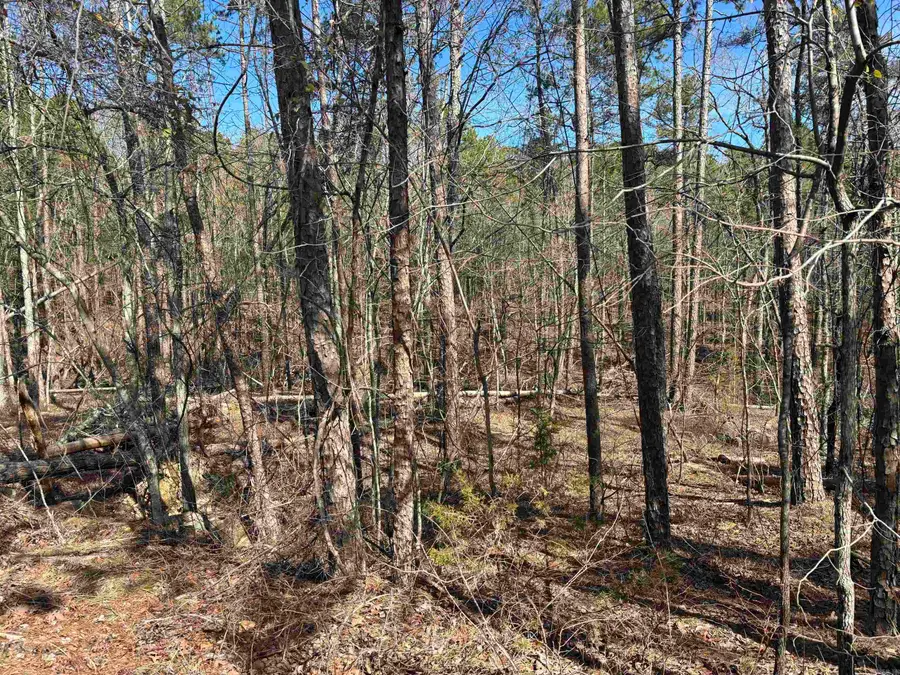 13 Murillo Cr, Hot Springs Village, AR 71909 - Image #2