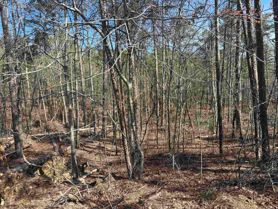 13 Murillo Cr, Hot Springs Village, AR 71909 - Image #3