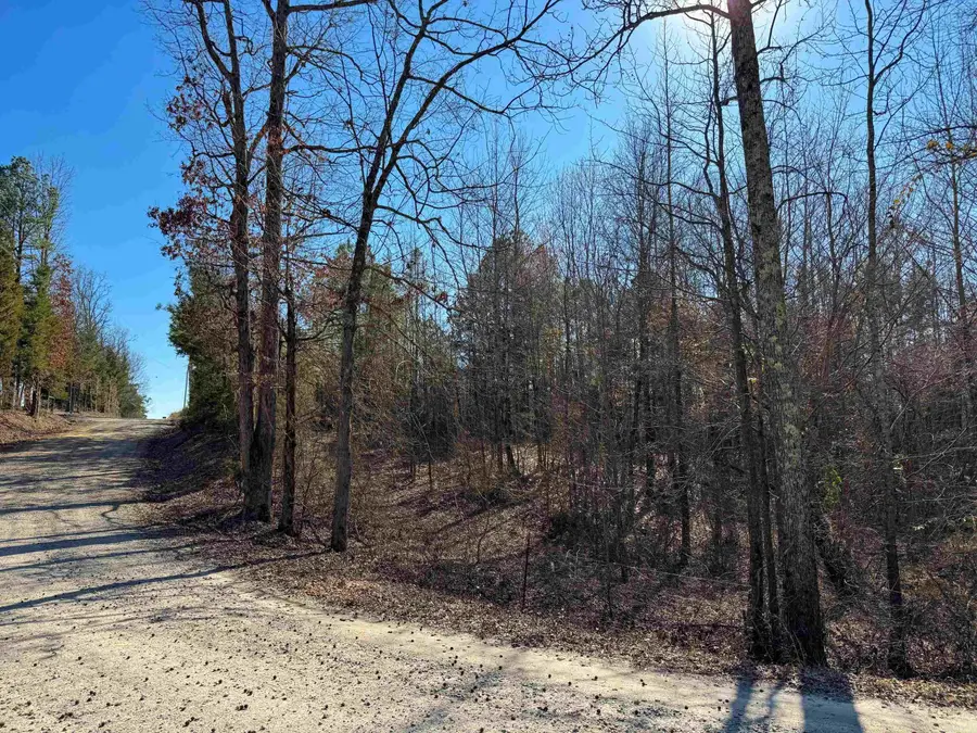 100 Guy Lane, Quitman, AR 72131 - Image #3