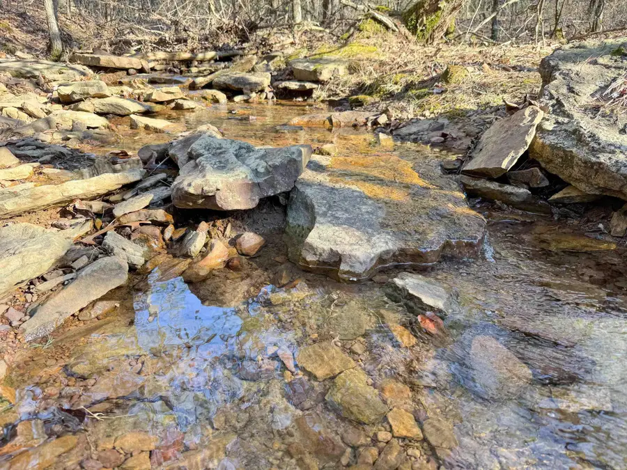 102 Guy Lane, Quitman, AR 72131 - Image #2