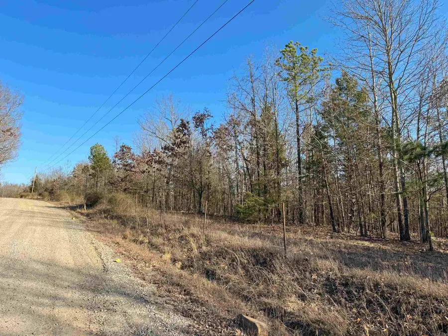 102 Guy Lane, Quitman, AR 72131 - Image #3