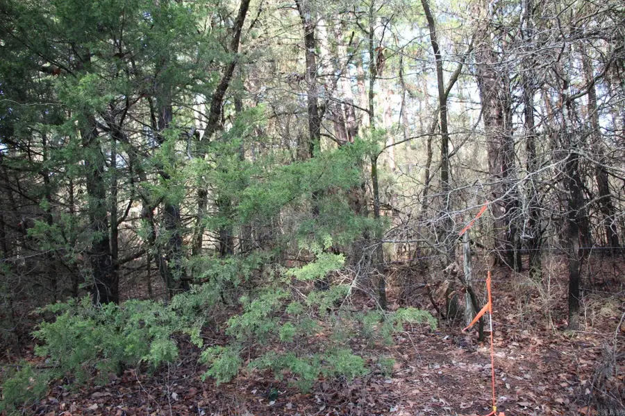 001-04155-000 Mc 6011, Yellville, AR 72687 - Image #3