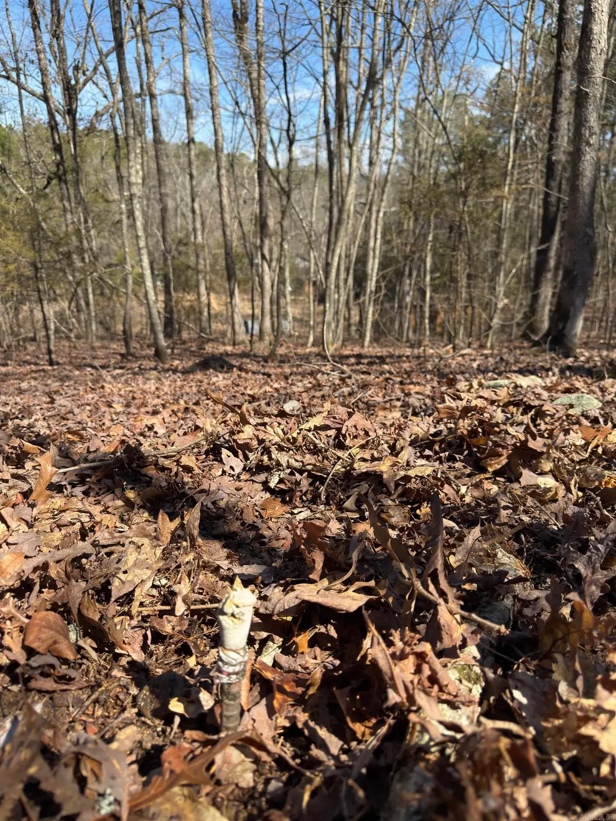 TBD Joy Lane Parcel B, Mena, AR 71953 - Image #1