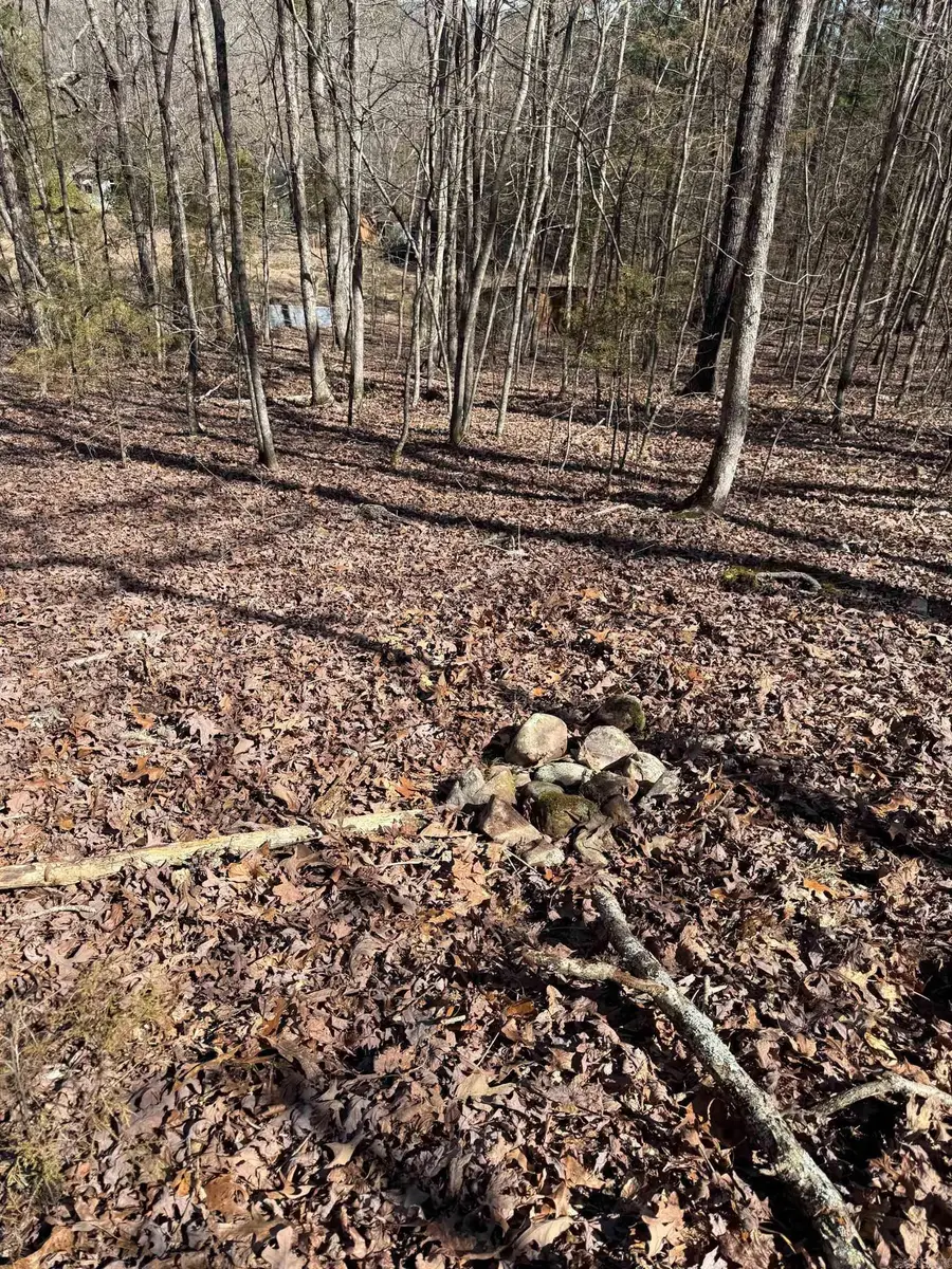TBD Joy Lane Parcel B, Mena, AR 71953 - Image #2