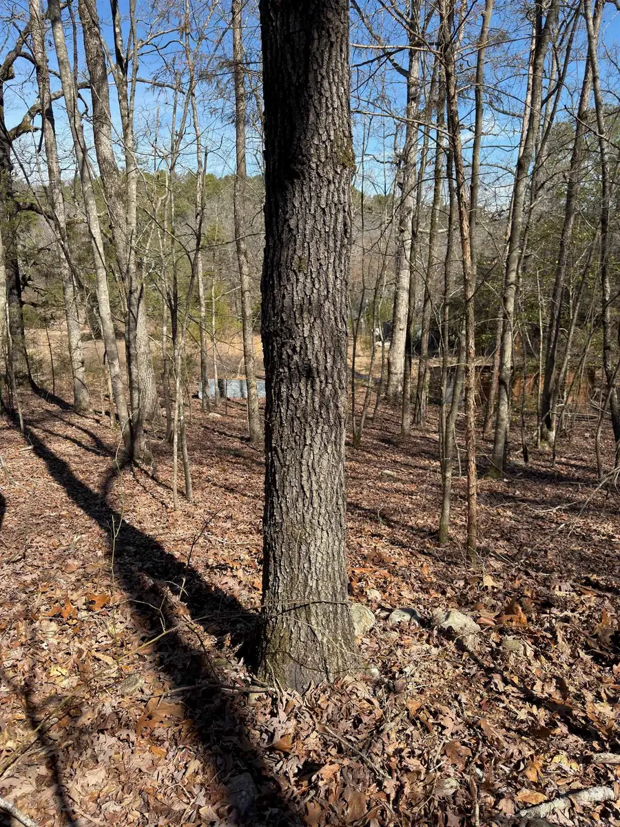 TBD Joy Lane Parcel B, Mena, AR 71953 - Image #3