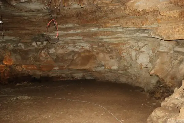 355 Arnold Hollow Road, Mountain View, AR 72560