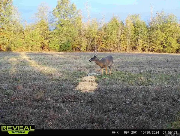 Address Withheld By Seller, McRae, AR 72102