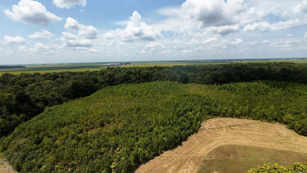 2406 Clay 247 Road, Corning, AR 72422 - Image #1