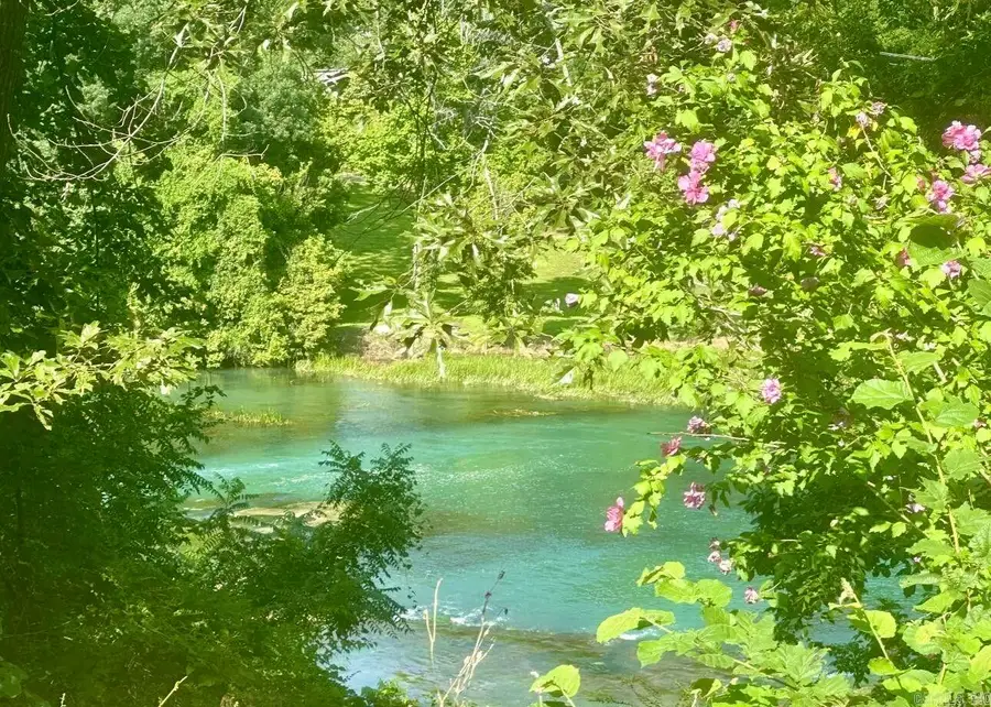 168 Riverview Drive, Mammoth Spring, AR 72554 - Image #3