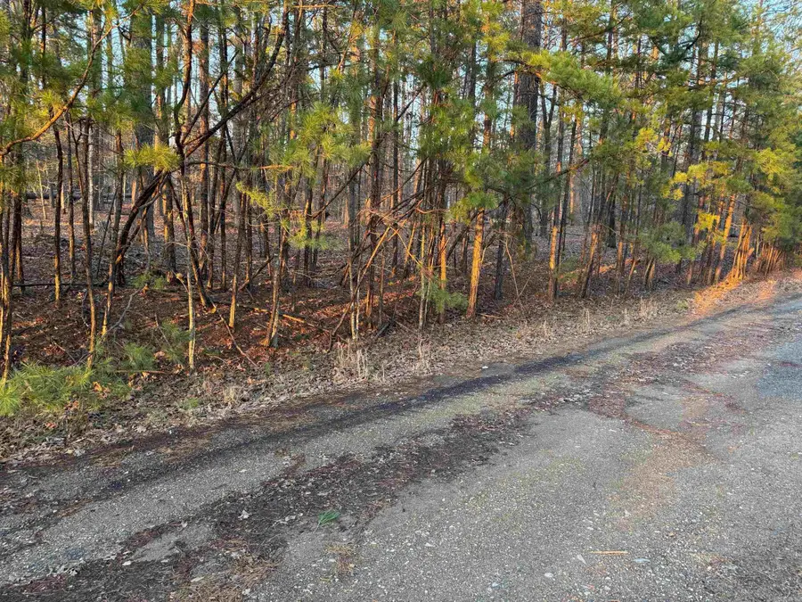 45 Jaguar Way, Hot Springs Village, AR 71909 - Image #2