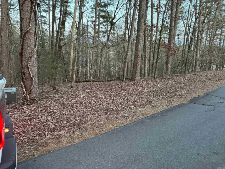 65 Saldana Way, Hot Springs Village, AR 71909 - Image #2