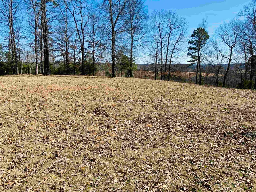 Lots 6,7,8 River Bend Ridge, Calico Rock, AR 72519 - Image #2