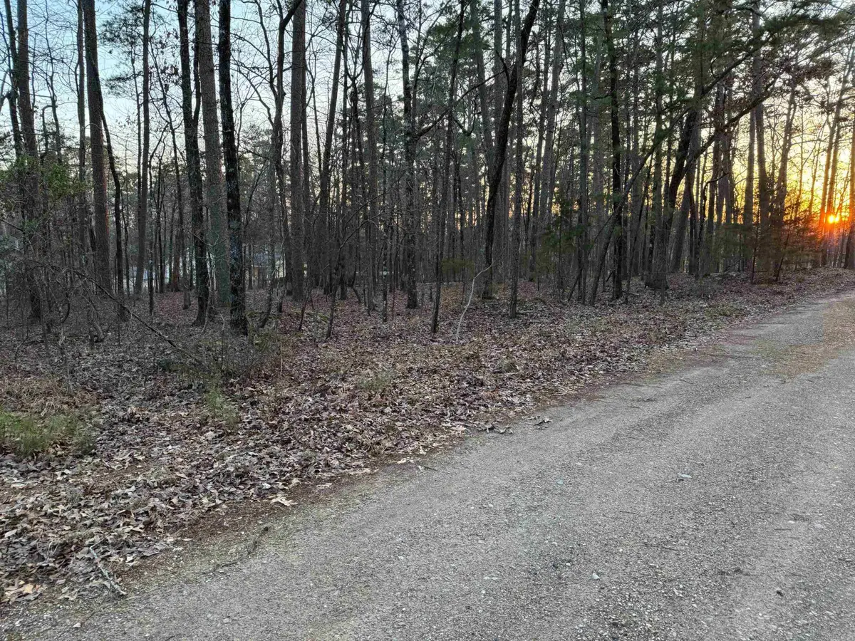 23 Jaguar Way, Hot Springs Village, AR 71909 - Image #1