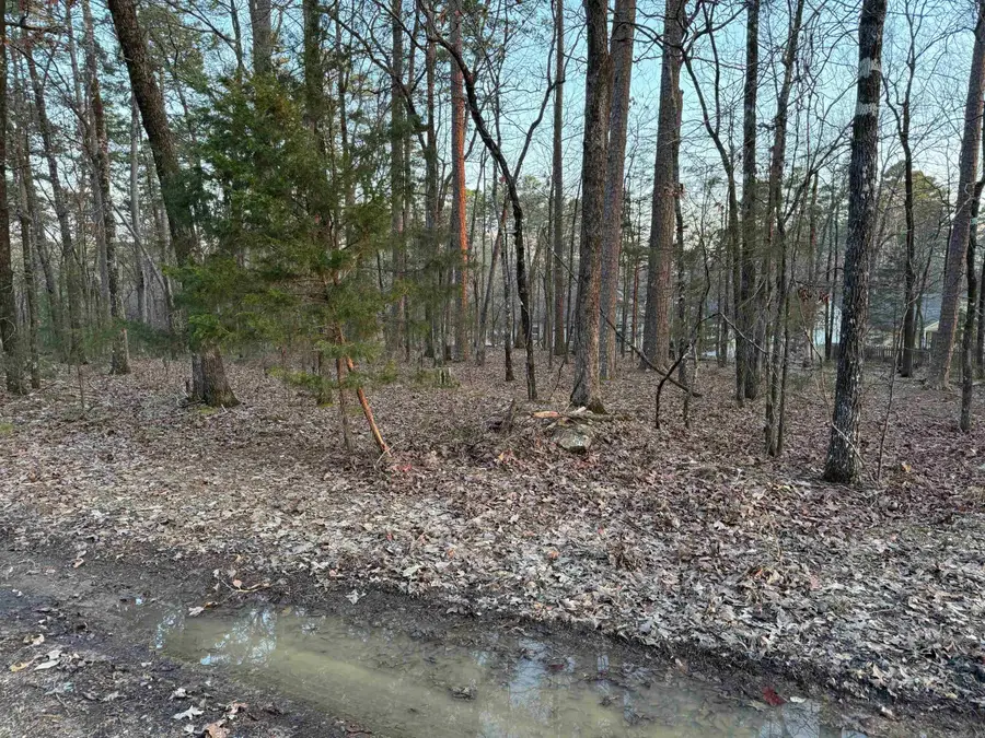 23 Jaguar Way, Hot Springs Village, AR 71909 - Image #2