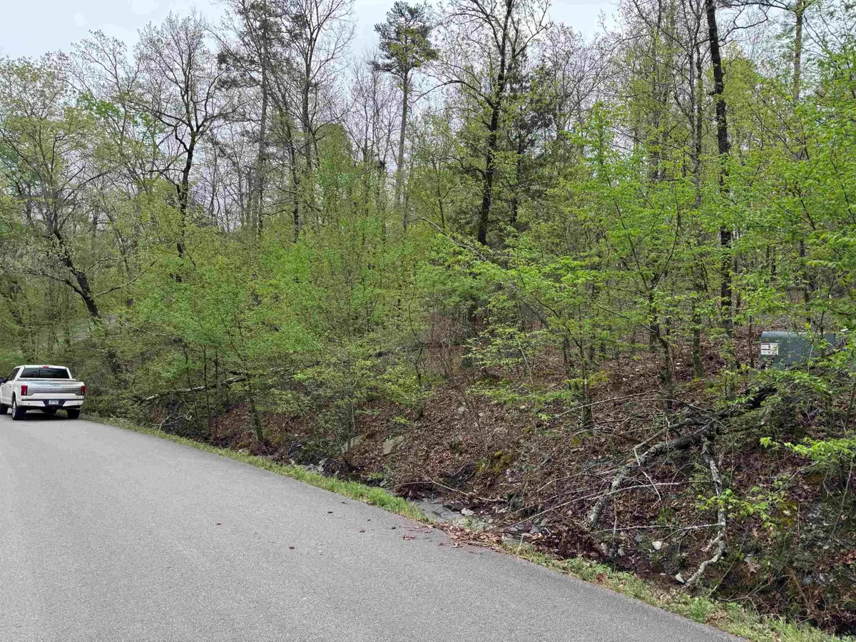 34 Soga Place, Hot Springs Village, AR 71909 - Image #1