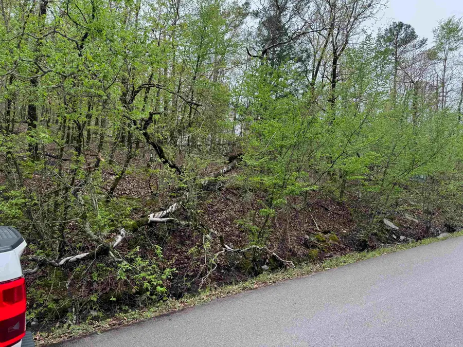 34 Soga Place, Hot Springs Village, AR 71909 - Image #2