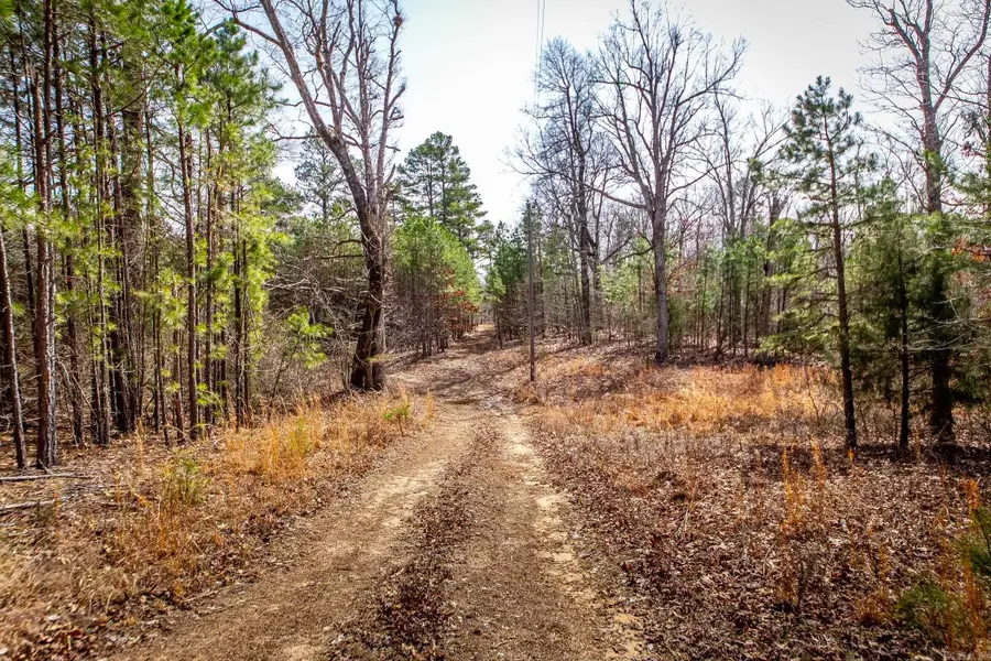 240 Hipp Lane, Dennard, AR 72645 - Image #2