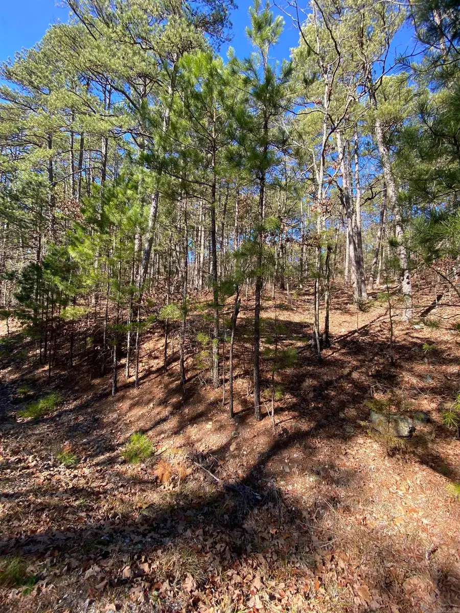 Address Withheld By Seller, Hot Springs Village, AR 71909 - Image #2