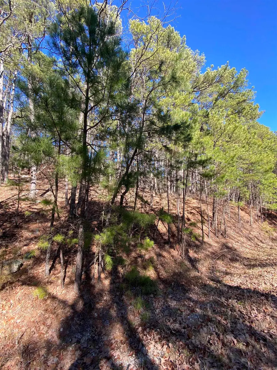 Address Withheld By Seller, Hot Springs Village, AR 71909 - Image #3