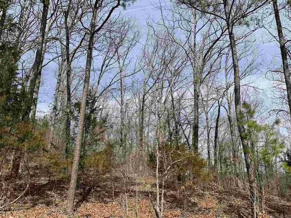 Lot 68 Lower Ridge Circle, Edgemont, AR 72044