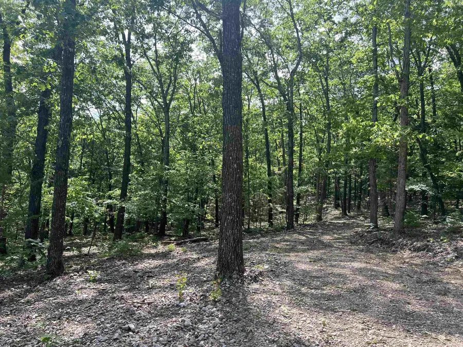 Cr 2909, Marble Falls, AR 72648 - Image #2