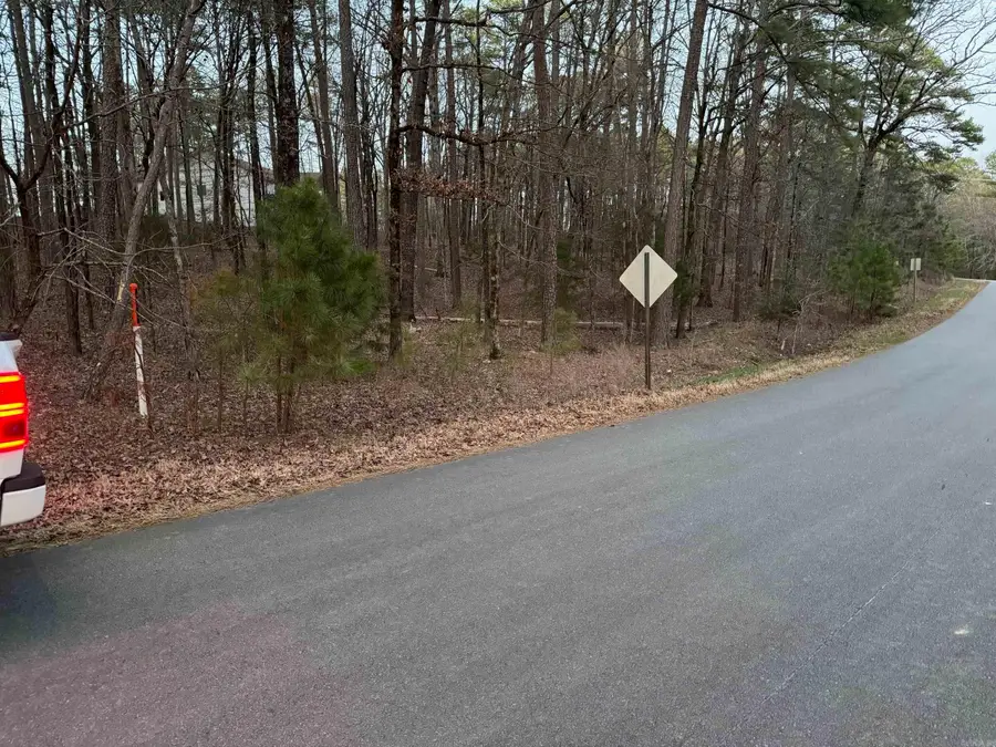 55 Lavanda Lane, Hot Springs Village, AR 71909 - Image #2