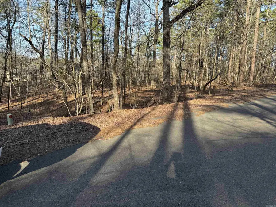 93 Ronquillo Way, Hot Springs Village, AR 71909 - Image #2