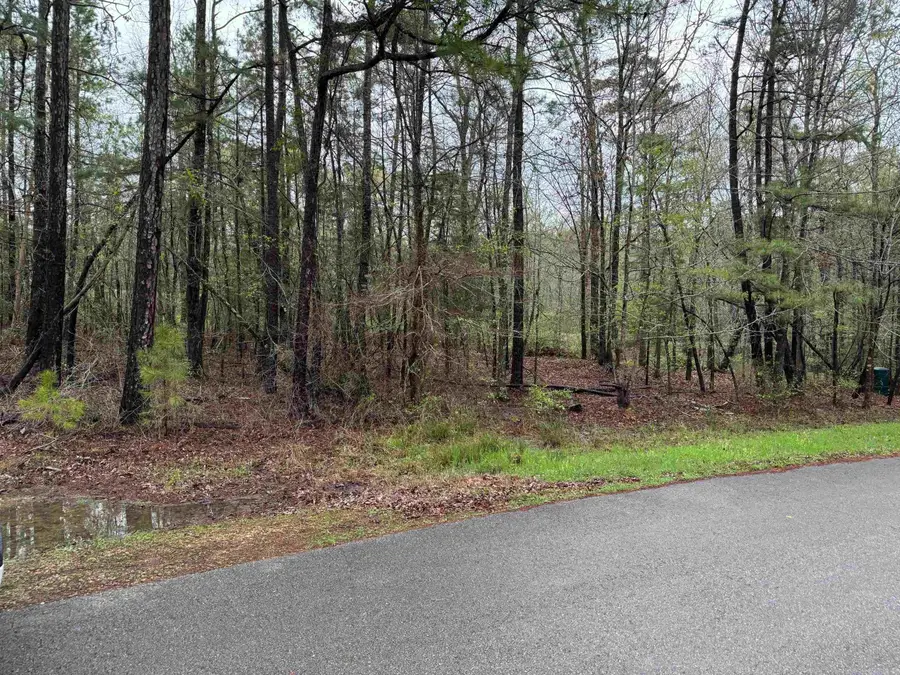 32 Fachado Way, Hot Springs Village, AR 71909 - Image #2