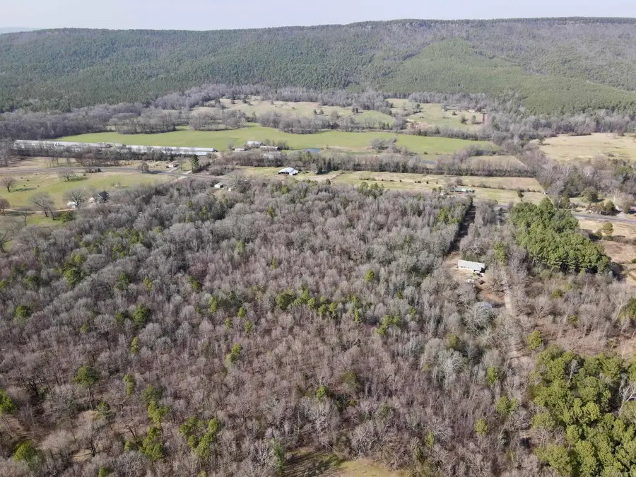 Address Withheld By Seller, Adona, AR 71001 - Image #3