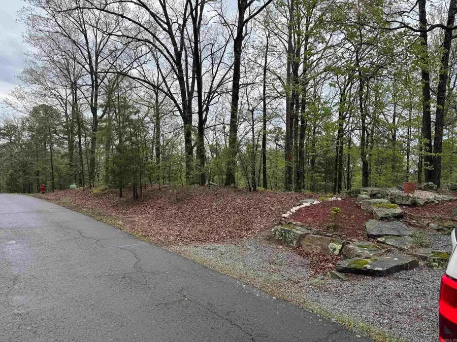 136 Salvatierra Way, Hot Springs Village, AR 71909 - Image #2