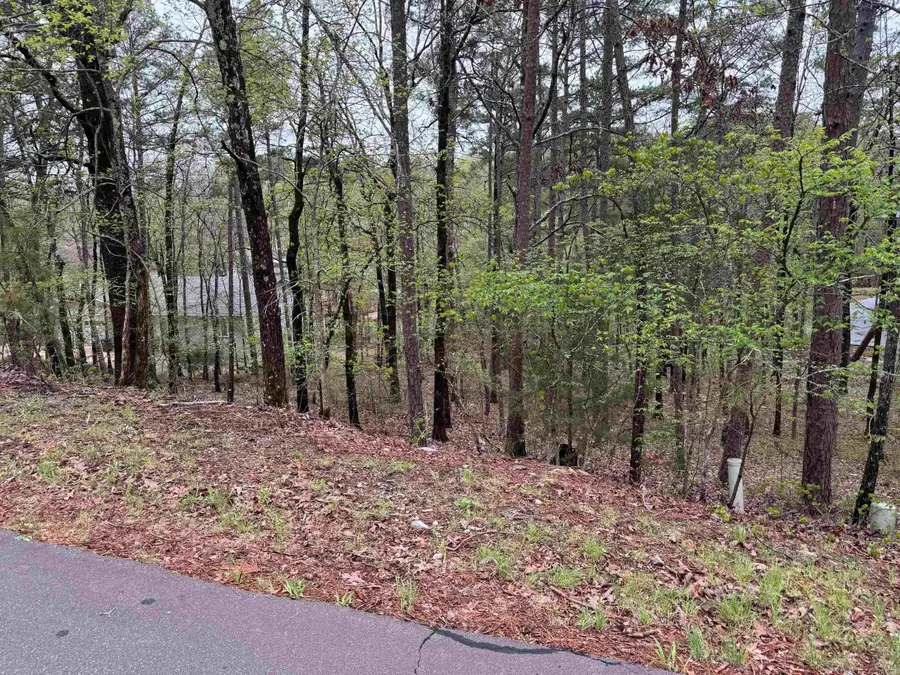 16 Caribe Way, Hot Springs Village, AR 71909 - Image #2