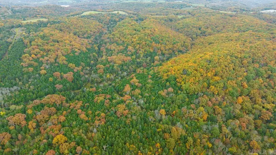 Cr 663, Oak Grove, AR 72660 - Image #3