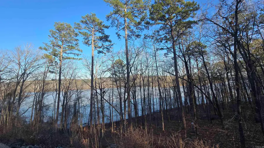 Lot 66 Lower Ridge Circle, Edgemont, AR 72044 - Image #2