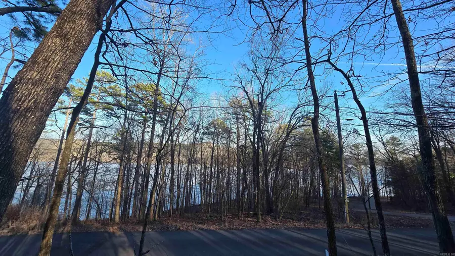 Lot 66 Lower Ridge Circle, Edgemont, AR 72044 - Image #3