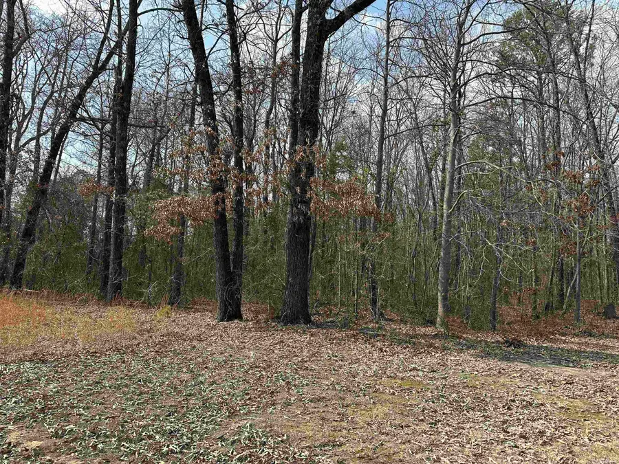 00 Edgemont, Greers Ferry, AR 72067 - Image #2