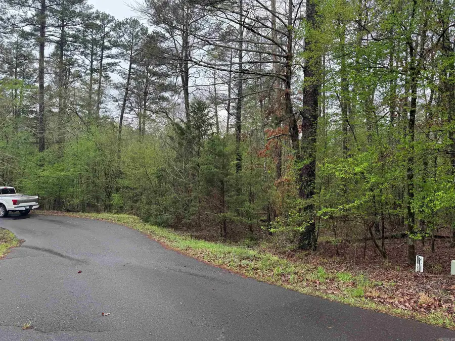 10 Fastota Place, Hot Springs Village, AR 71909 - Image #2