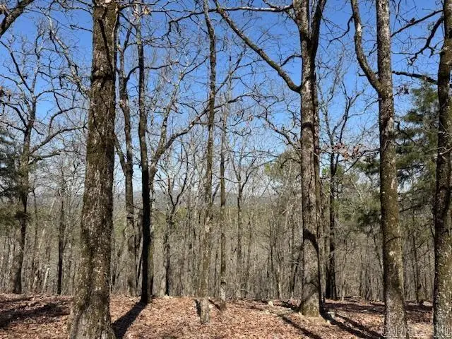 0 Fox Ridge Road, Little Rock, AR 72223 - Image #1