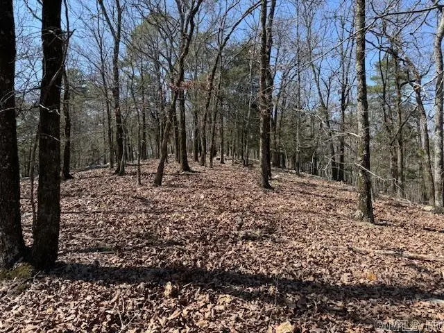 0 Fox Ridge Road, Little Rock, AR 72223 - Image #2