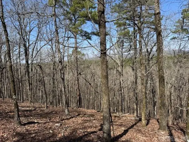 0 Fox Ridge Road, Little Rock, AR 72223 - Image #3